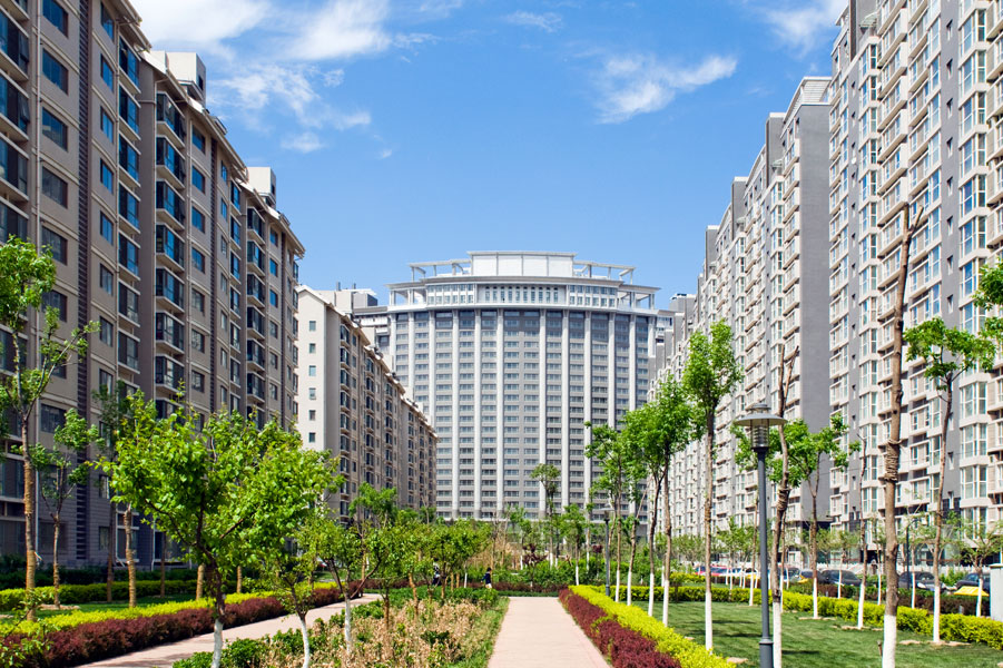 Camellia Group Banner 1